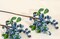 10 Pack Artificial Flowers California Faux Blueberries Artificial Stems for Decorating Blueberry Picks Fruit Fake Silk Flowers Home Decorative Party Wedding (Blue)